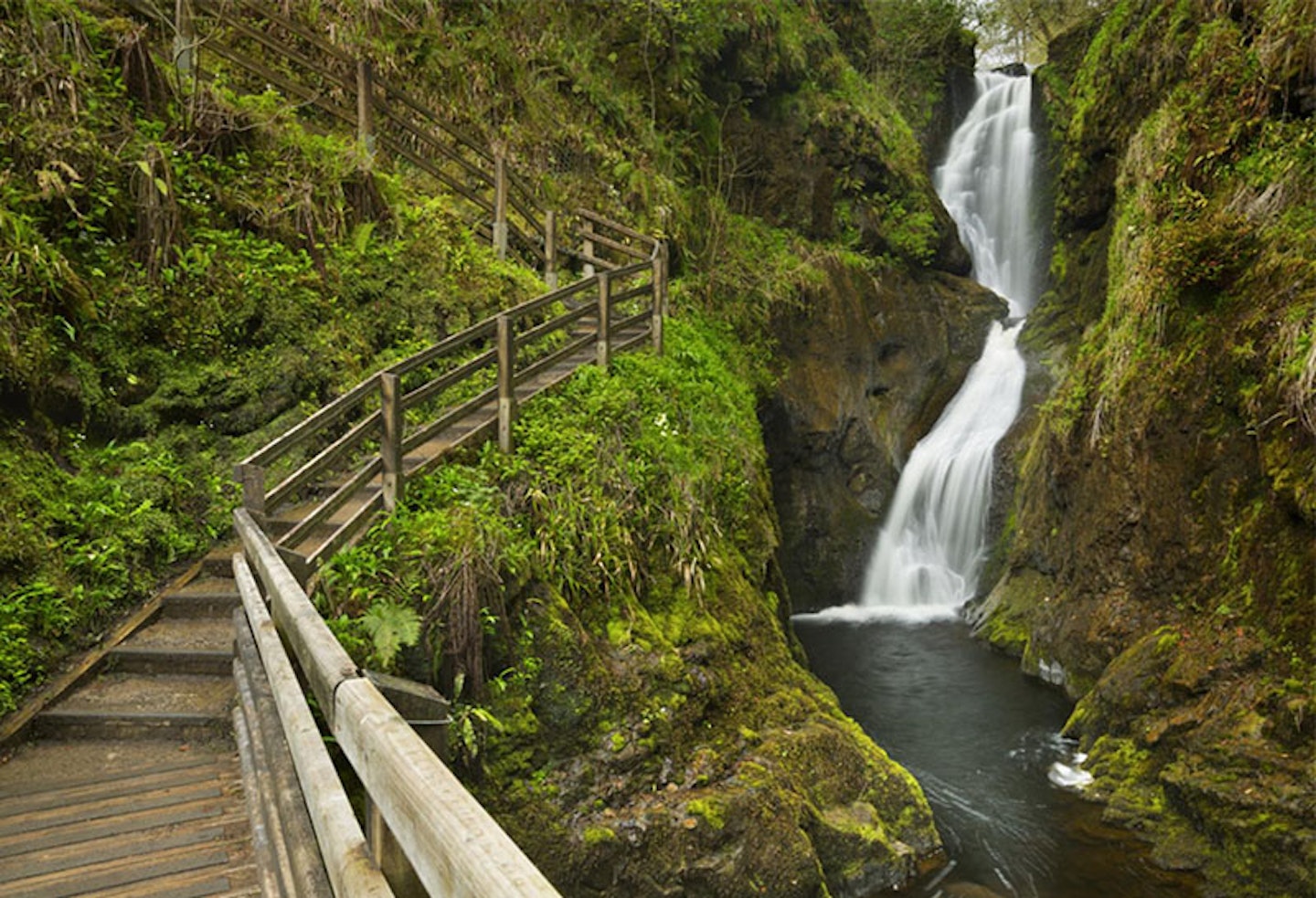 11) Glenariff Forest Park, County Antrim, Northern Ireland