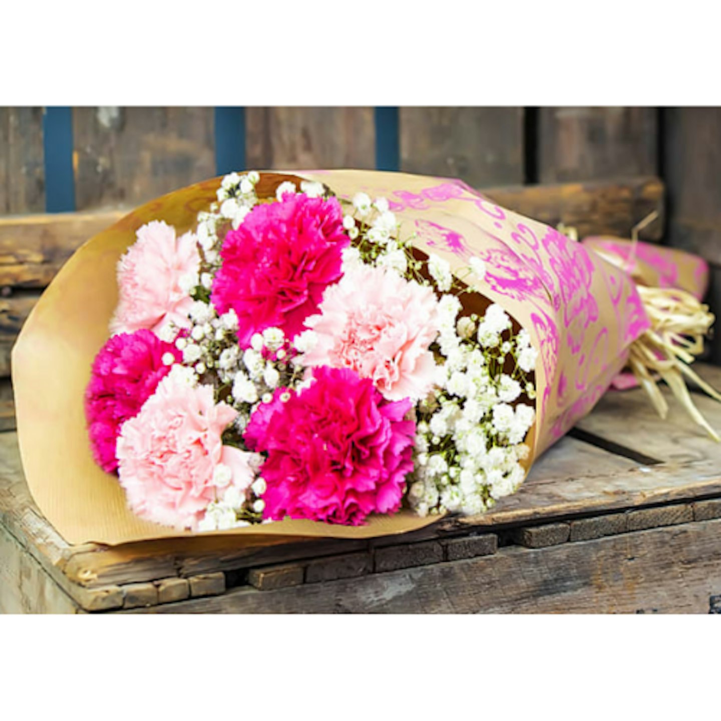 Home Bargains Classic Carnations