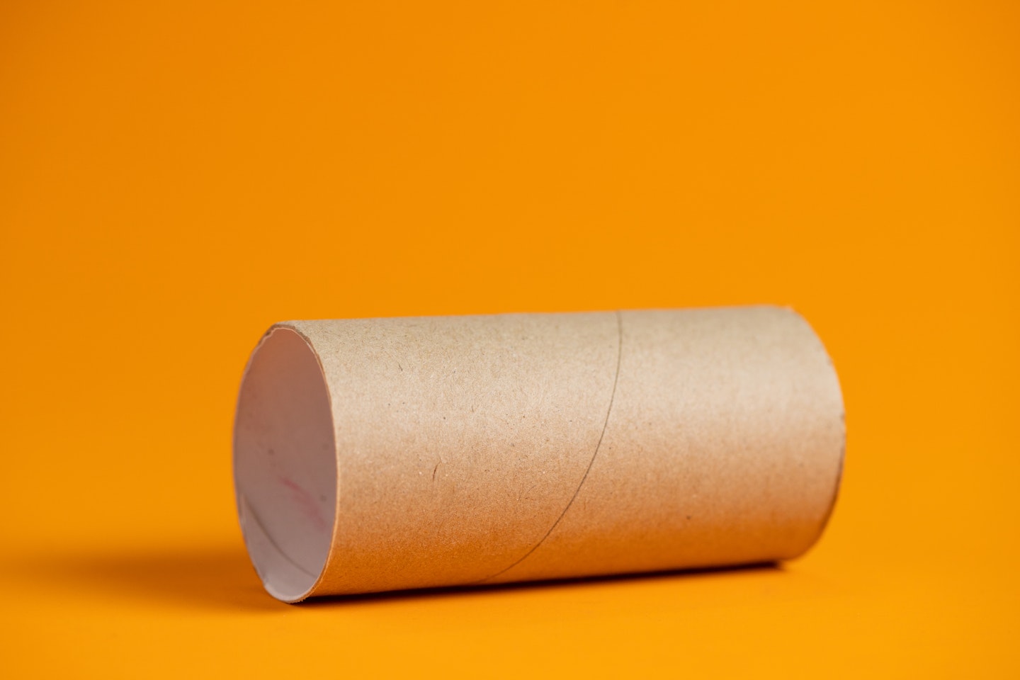 Toilet roll tube