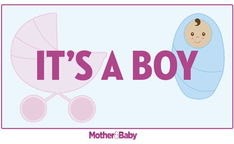 Am I having a baby girl or boy Quiz Gender Predictor