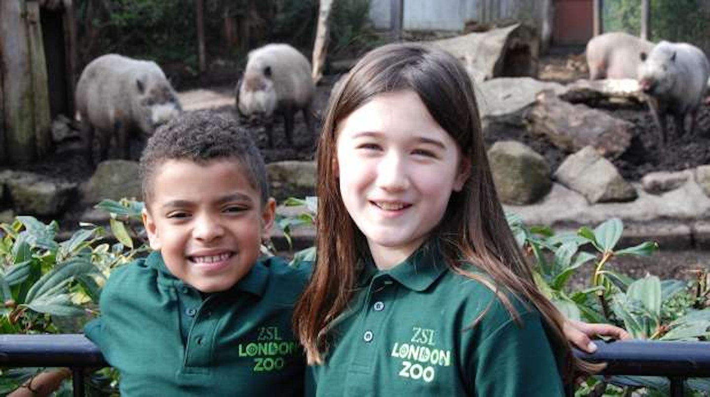 Junior Keeper for a Day at London Zoo