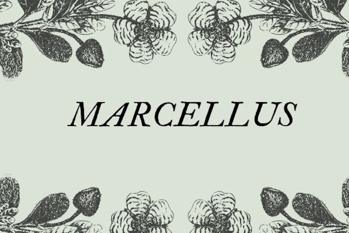 Marcellus