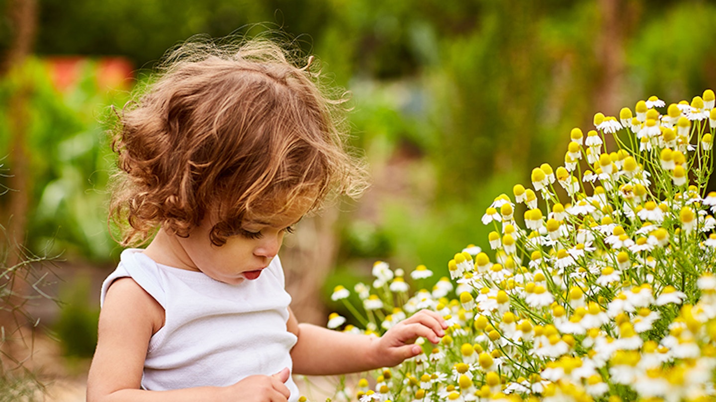 5 nature-inspired activities babies and toddlers will love