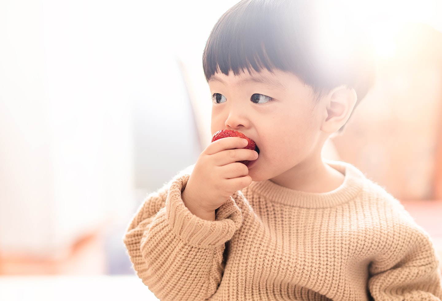 Parents are not happy after nursery ‘forces’ kids to eat completely vegan meals