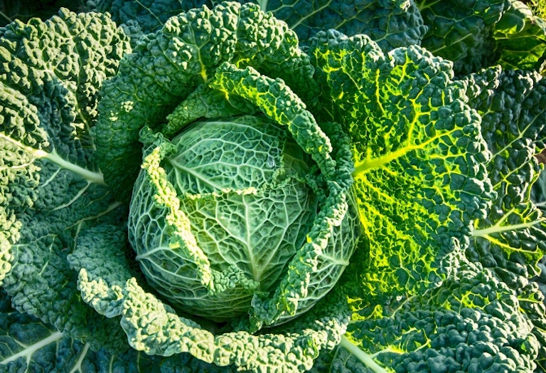 Oedema in pregnancy The causes and treatment for swelling in the feet