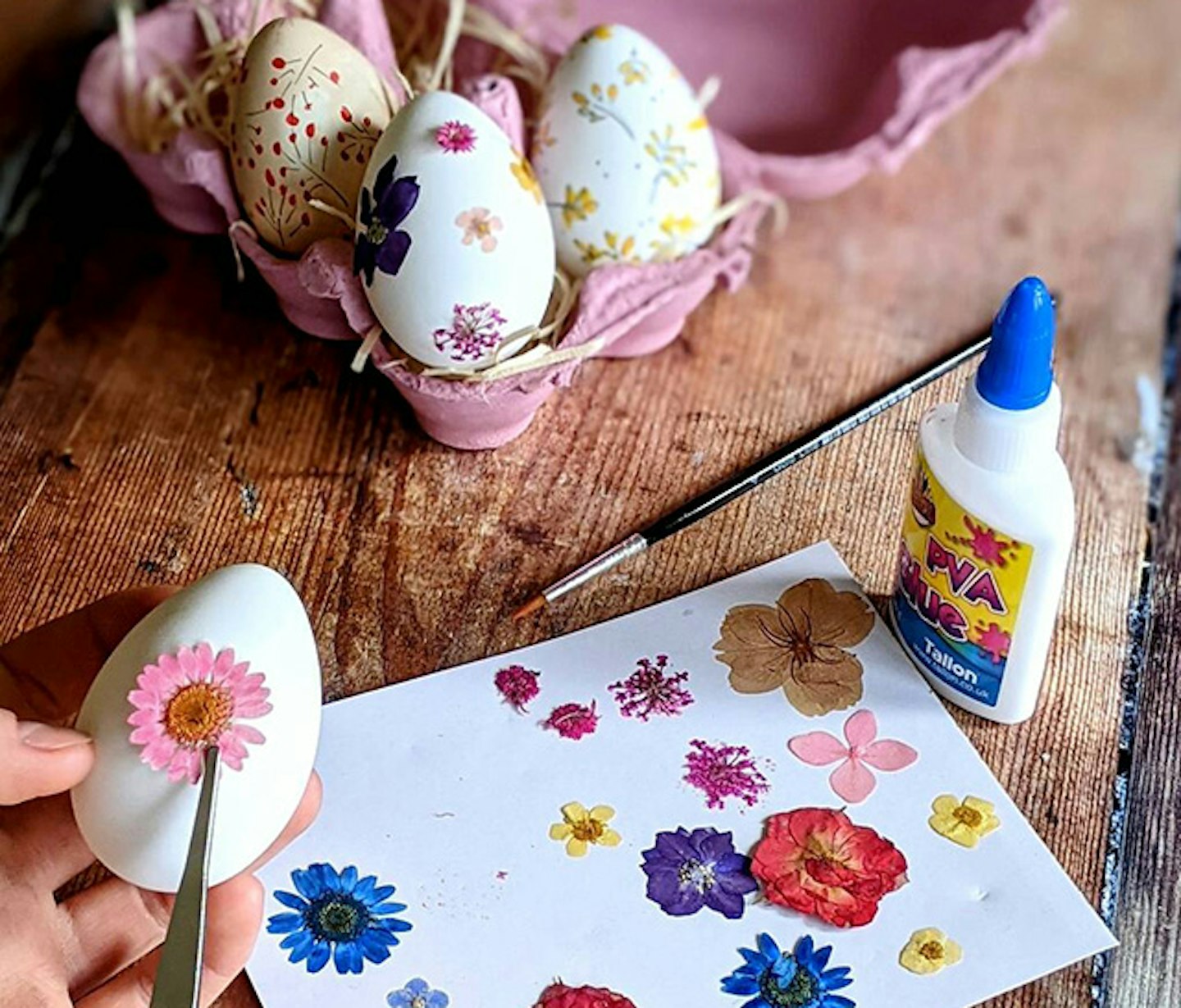 Pressed flowers