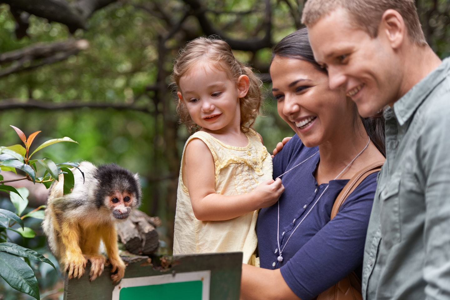 family at the zoo