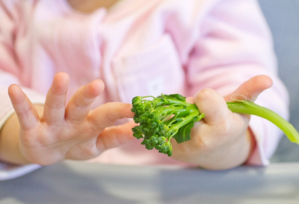 Plate separators for fussy eaters This invention divides your plate
