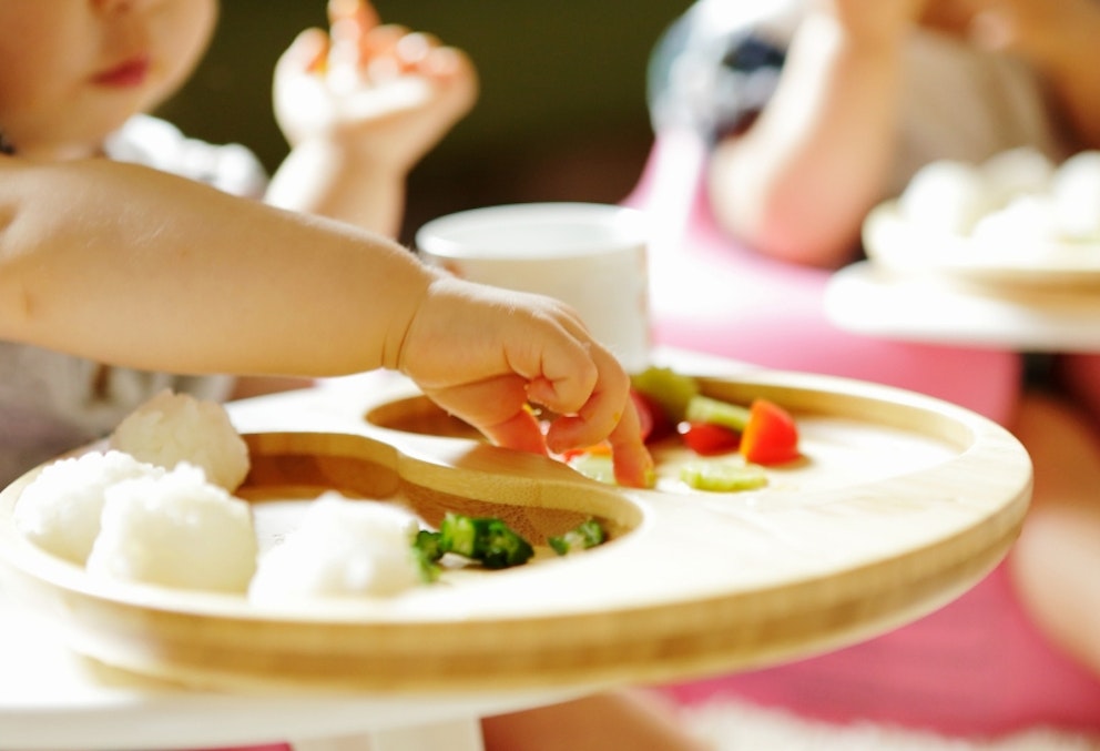 Plate separators for fussy eaters This invention divides your plate