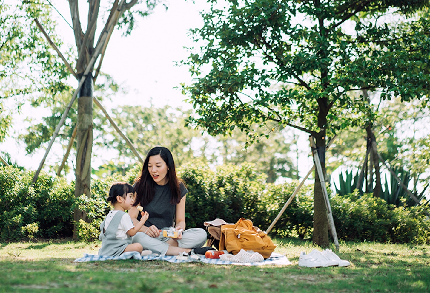 family picnic ideas