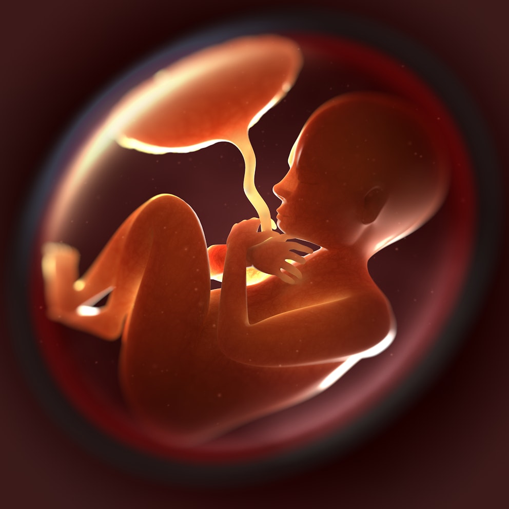 Retained placenta Types, symptoms and treatment