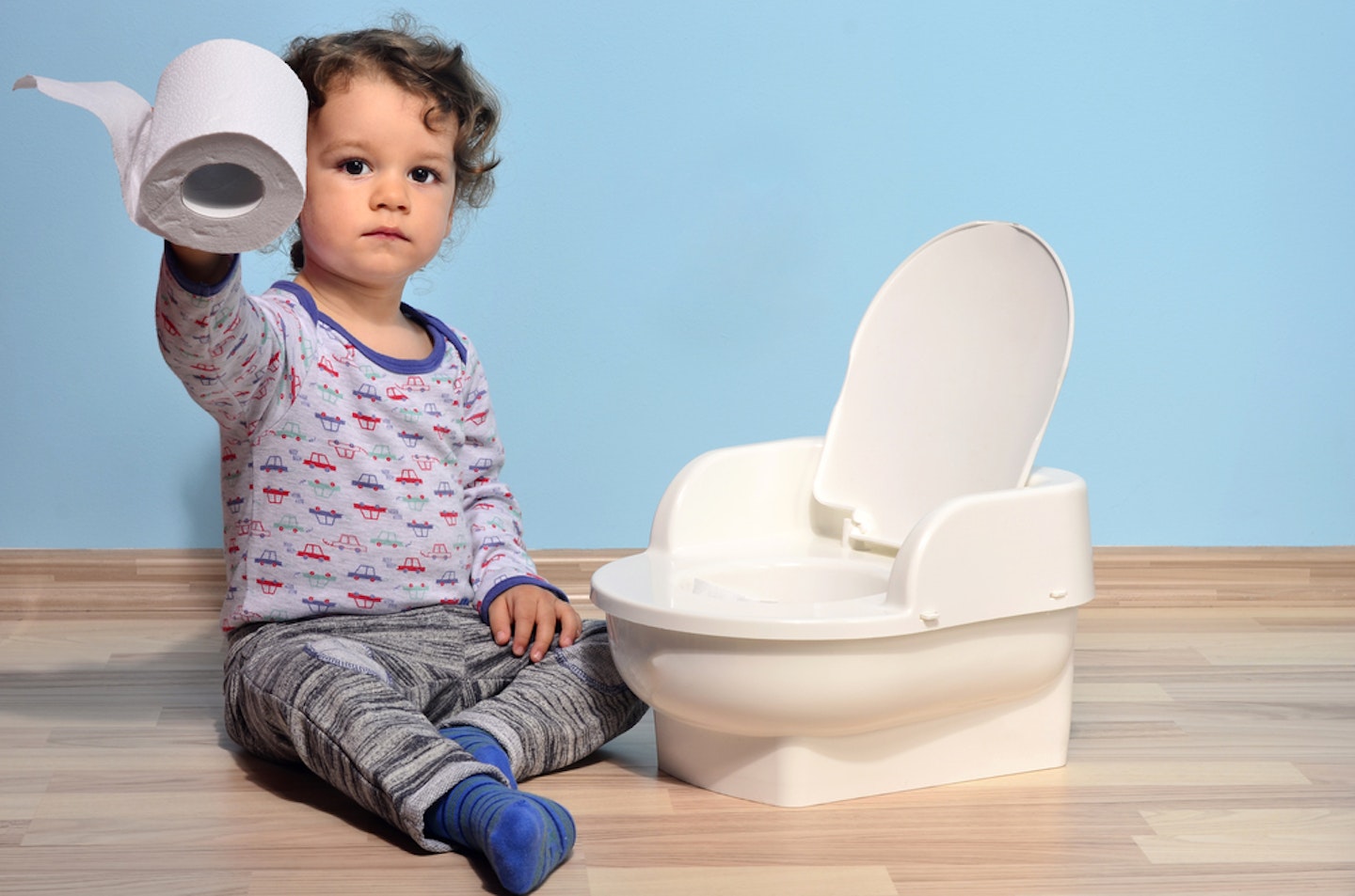 Toddler next to potty holding toilet roll