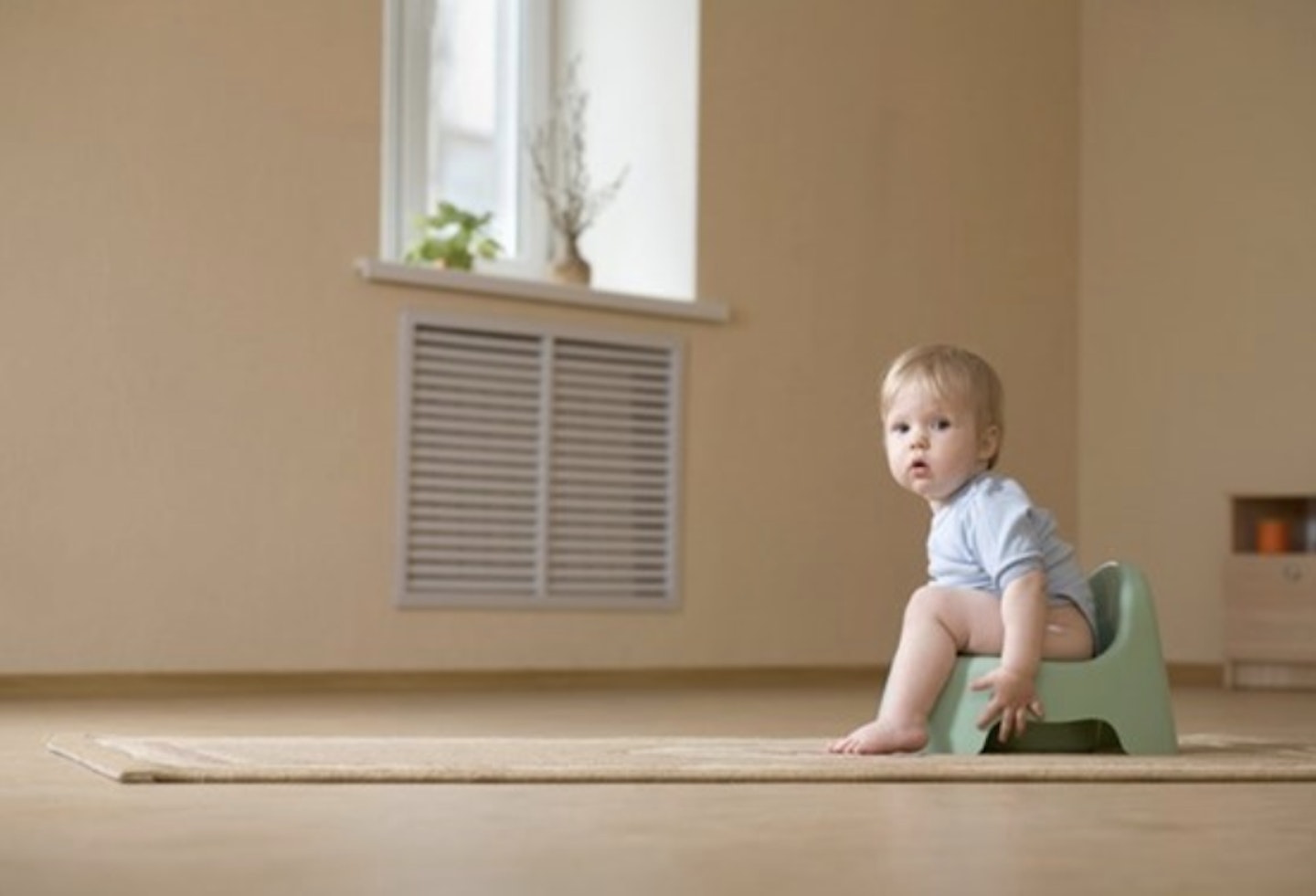 toddler sitting on potty