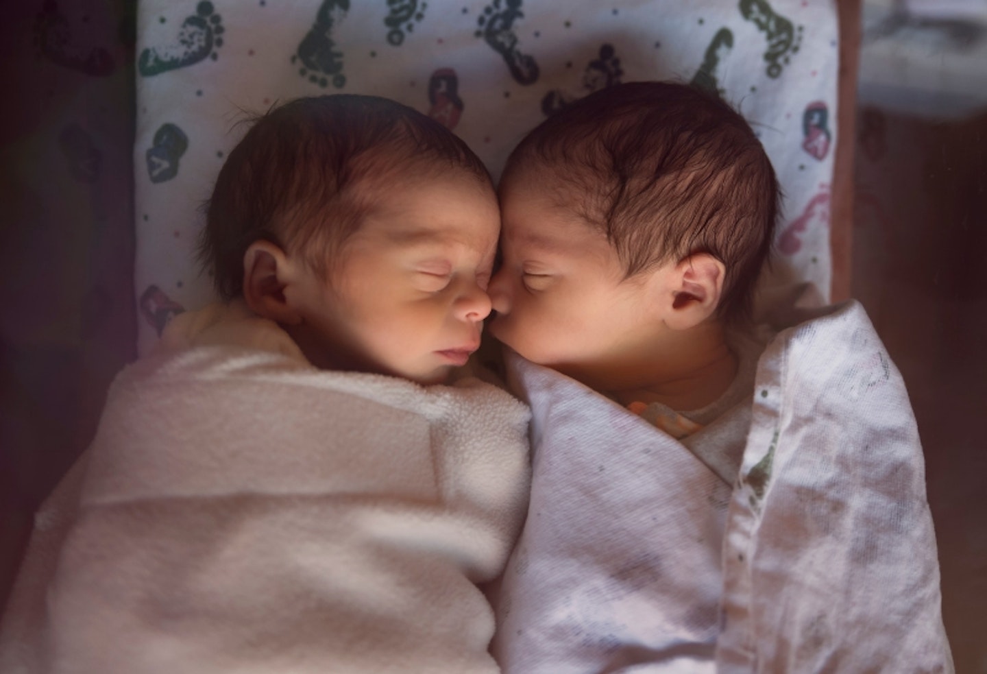 Twin newborn babies