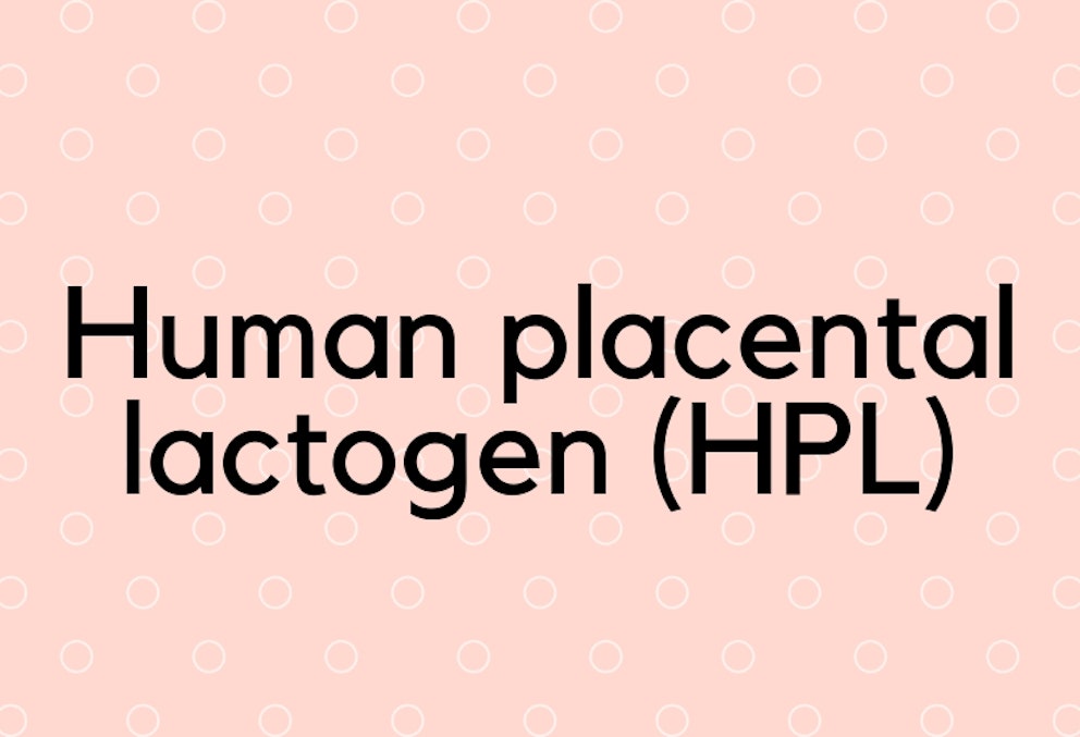 Pregnancy hormones: All the hormones of pregnancy and their functions