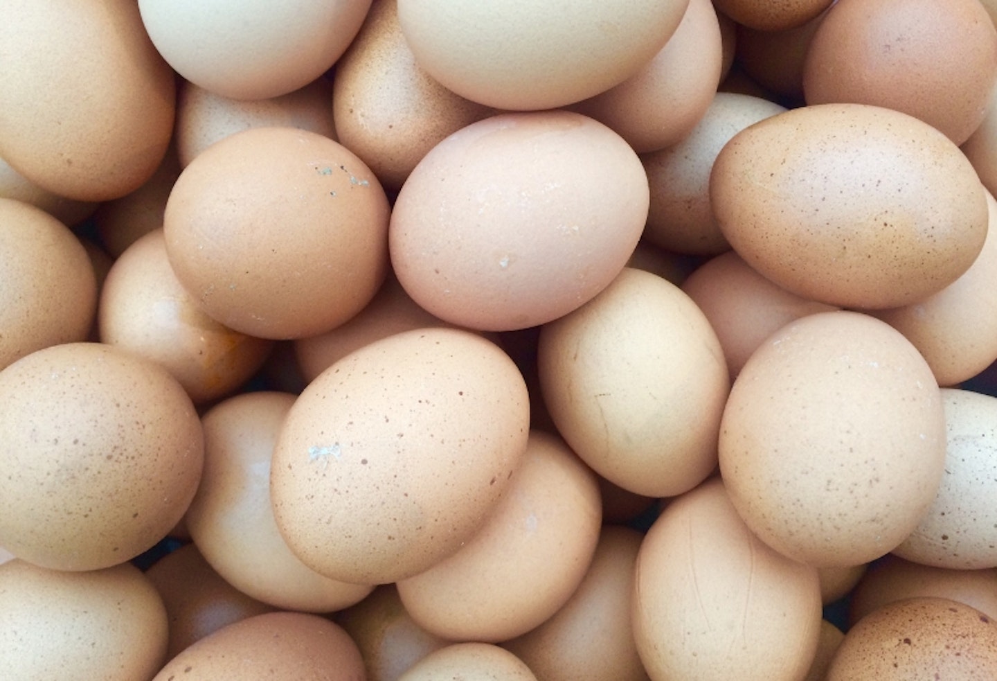 eggs