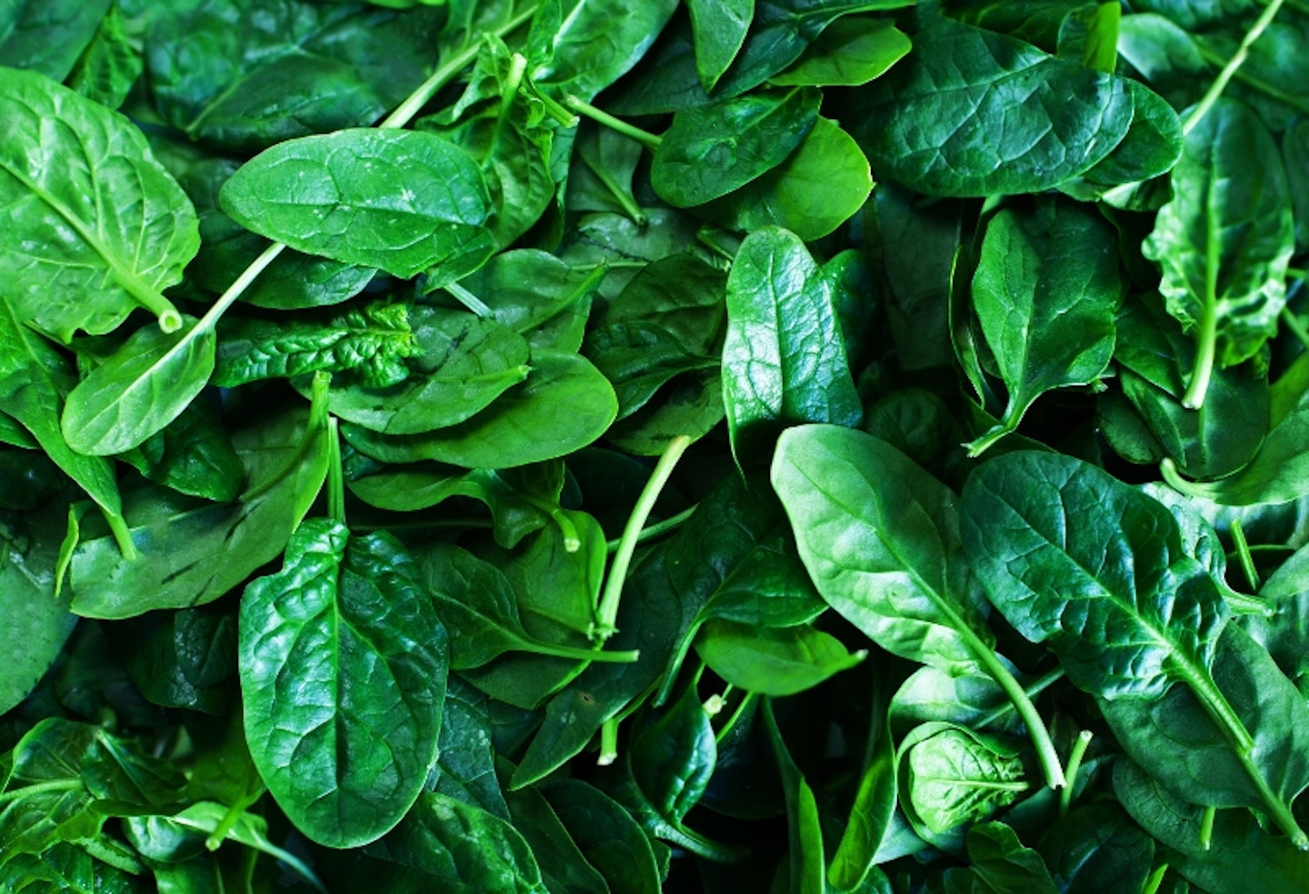 spinach