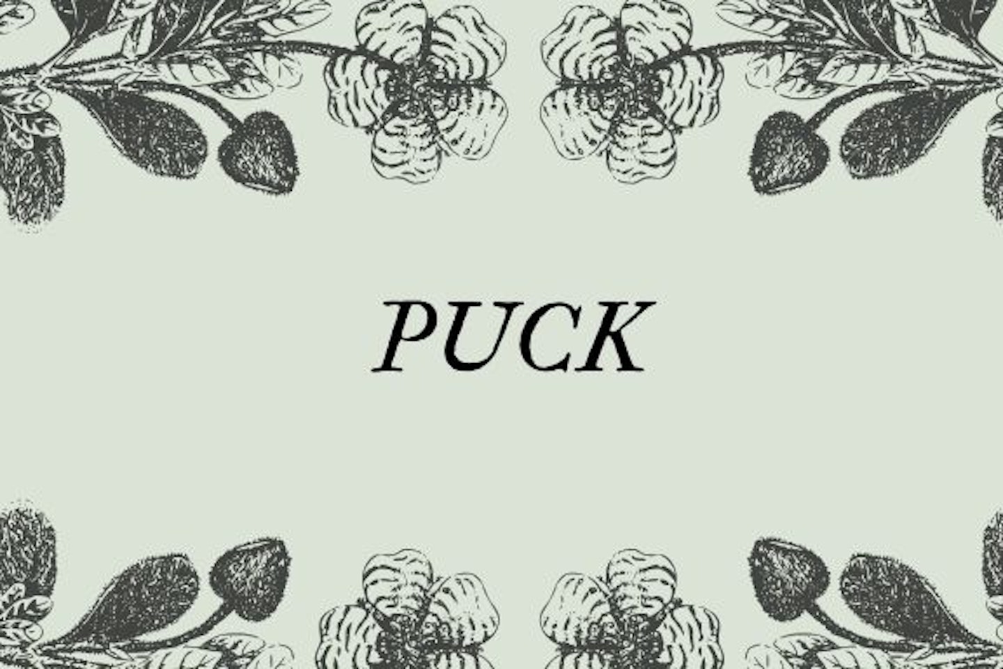 Puck