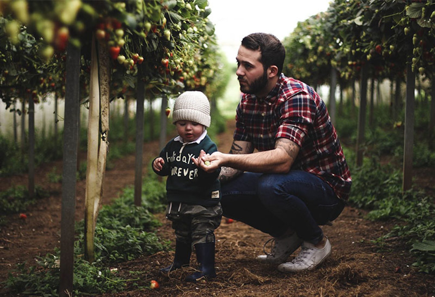 8) PYO Pumpkin at Craigies Farm, Queensferry - Edinburgh