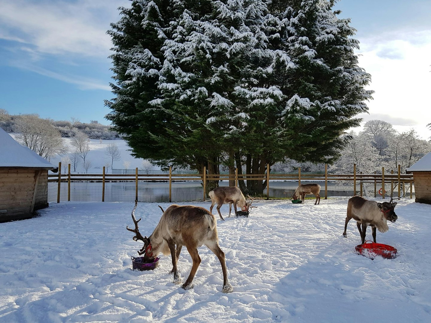 5) Reindeer Lodge, Chester