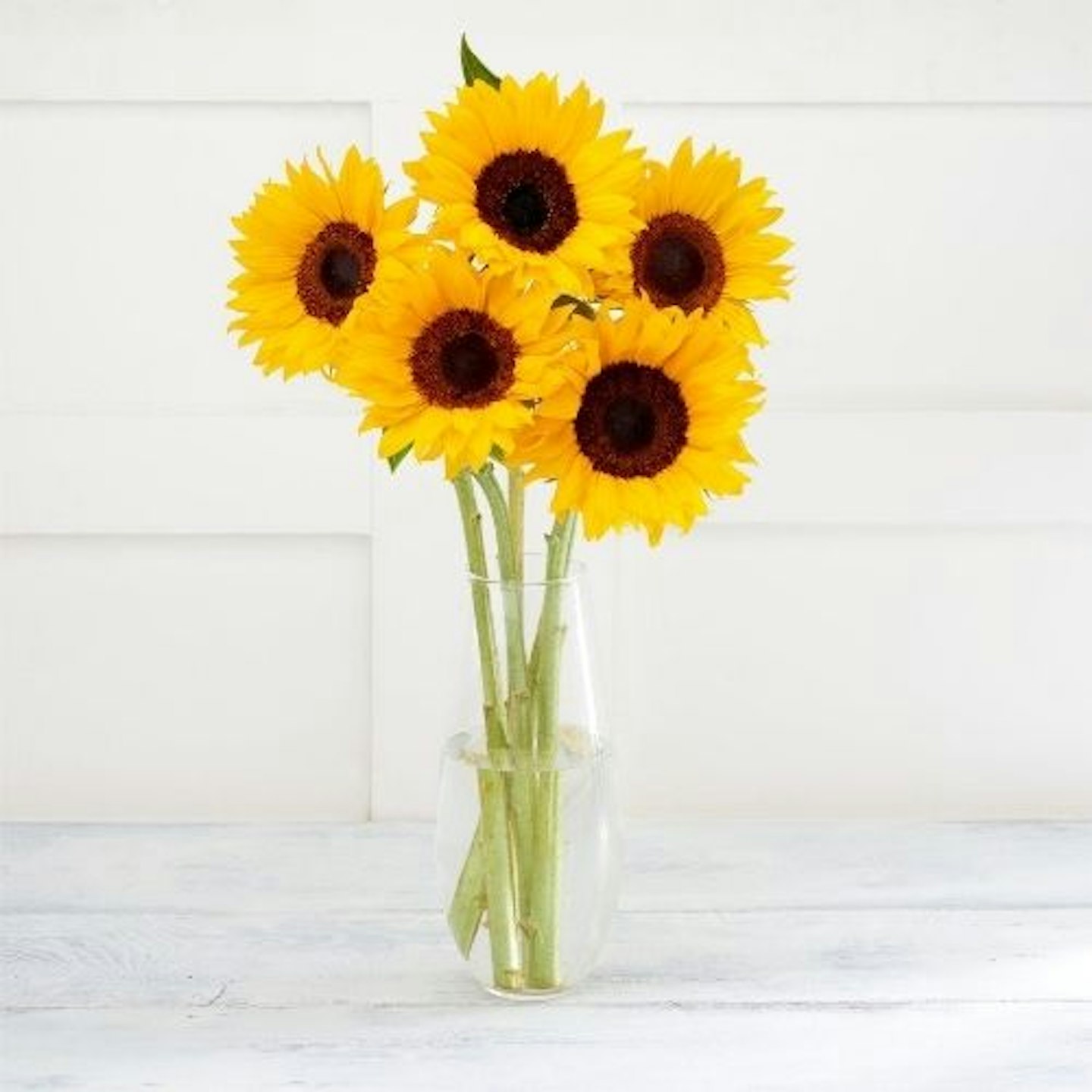 Sainsburyu0026#039;s Simply Sunflowers