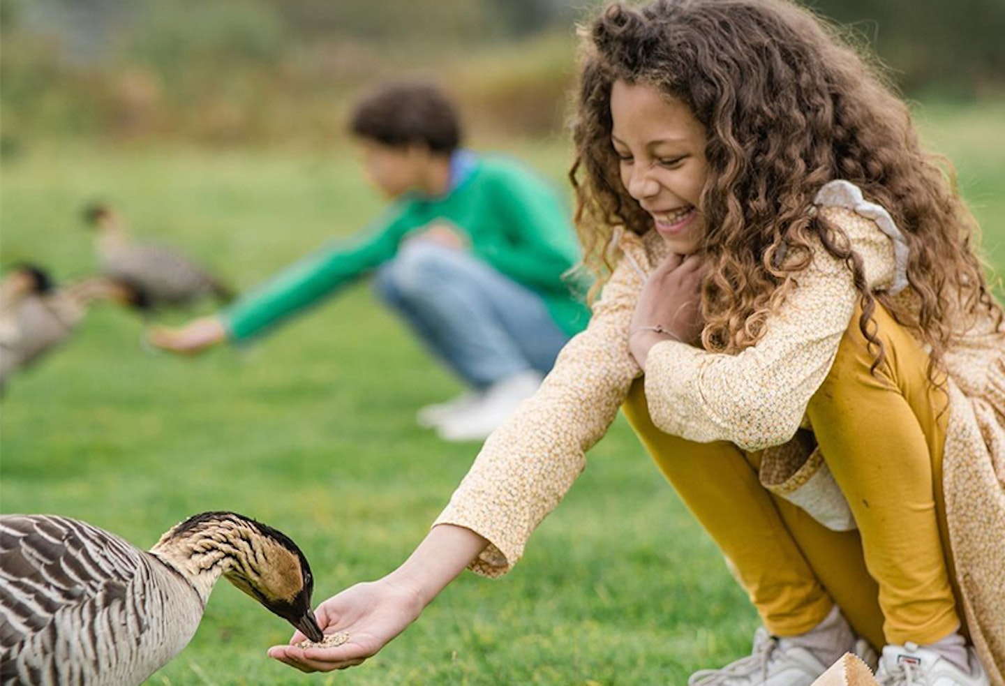 13) Slimbridge Wetland Centre, Gloucestershire