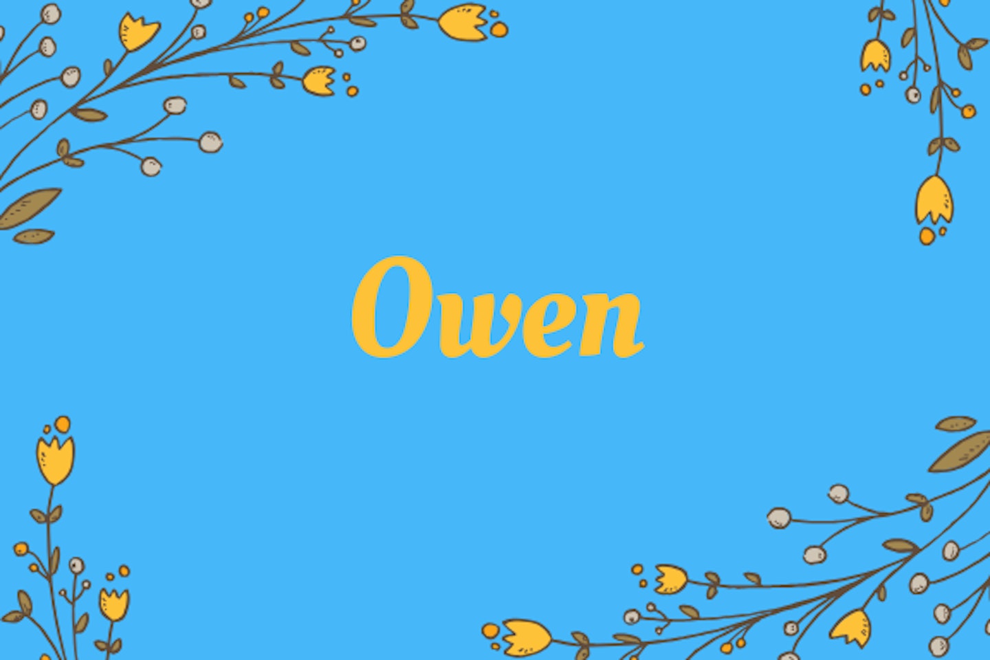 Owen