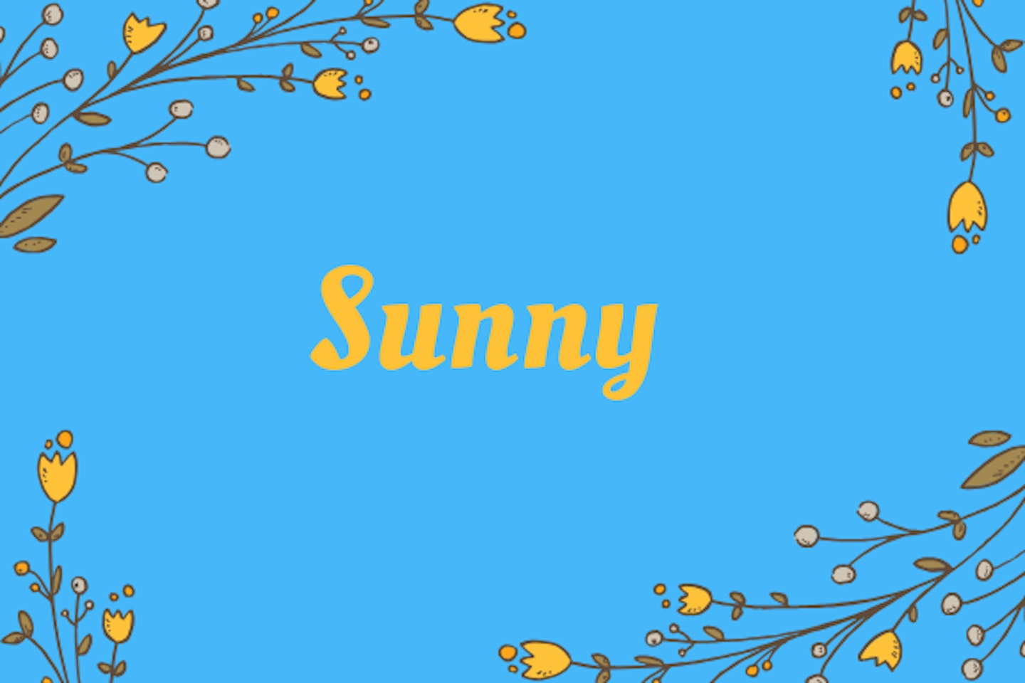 Sunny