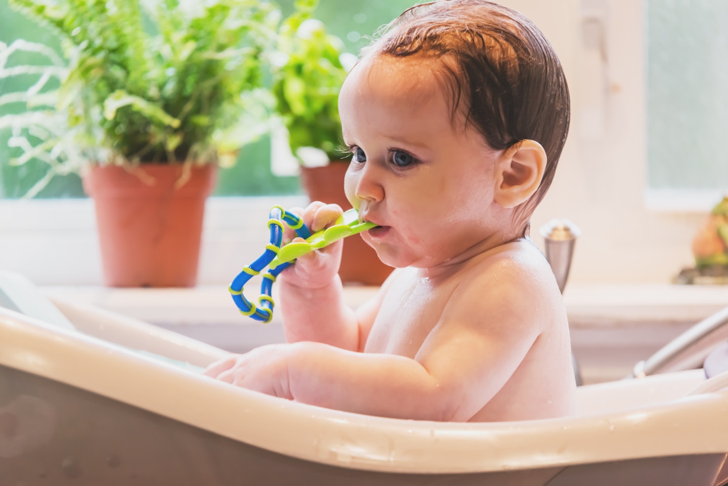 baby sucking on teething toy