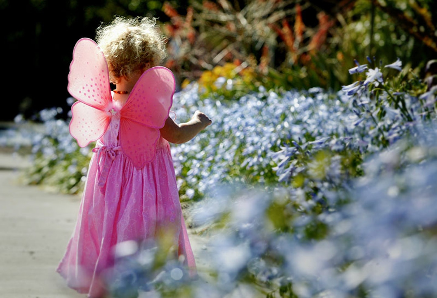 fairy garden toddler