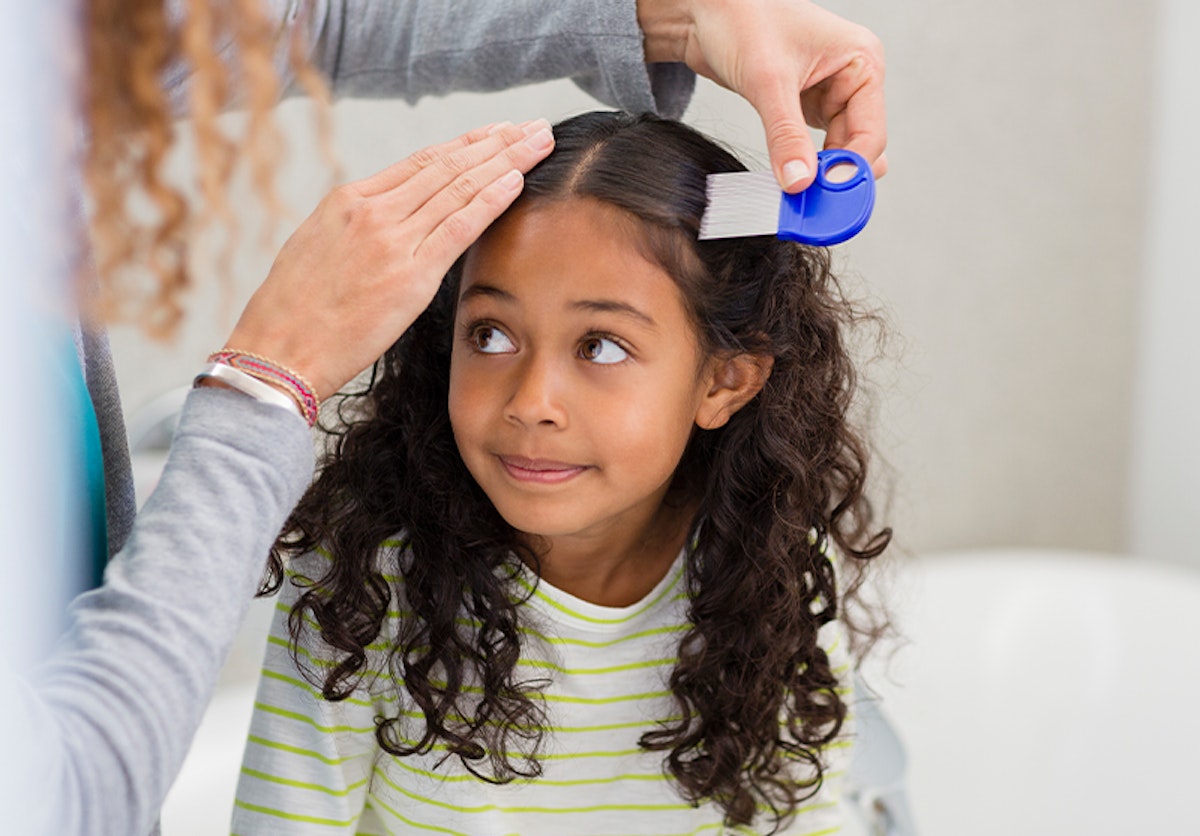 Best Head Lice Treatments And Products