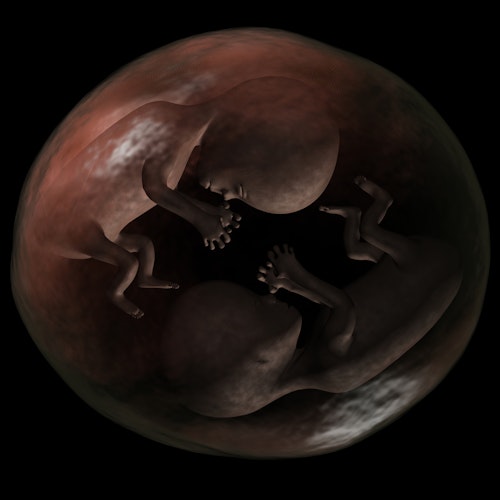 9 amazing things you didn’t know about fraternal twins Getting