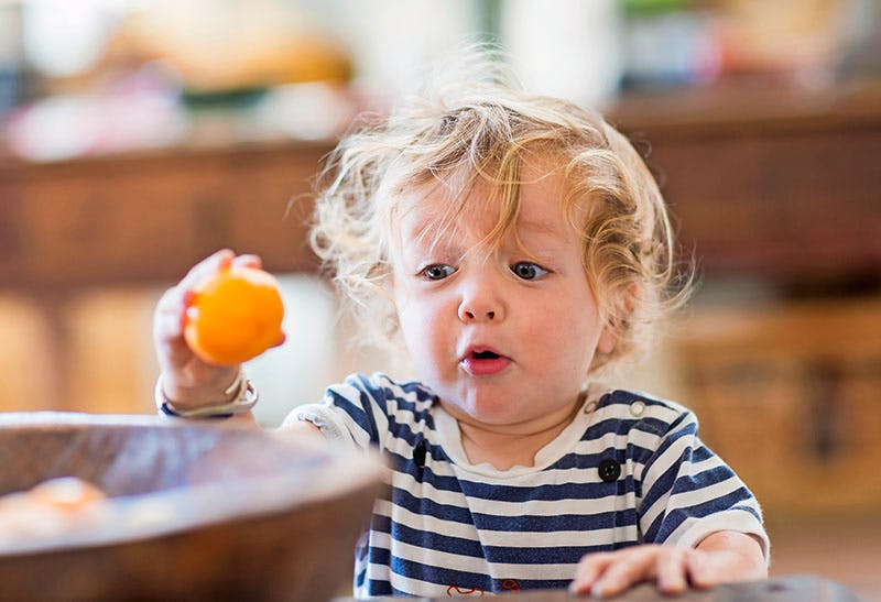 Sugarfree baby food to help you wean clean Baby Mother & Baby