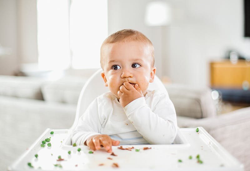 QUIZ What type of picky eater is your child? Family Life Mother & Baby