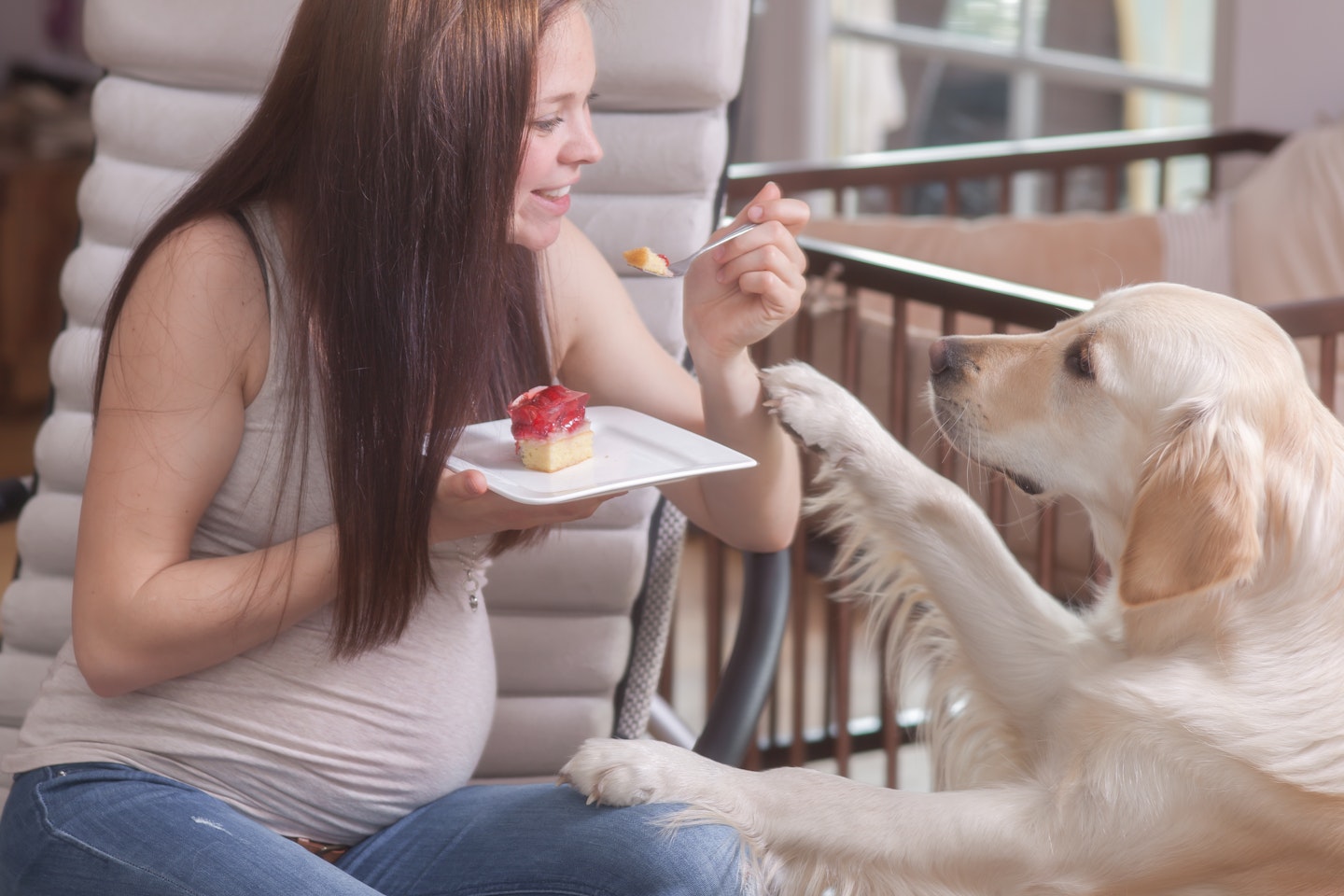 woman and dog cheesecake