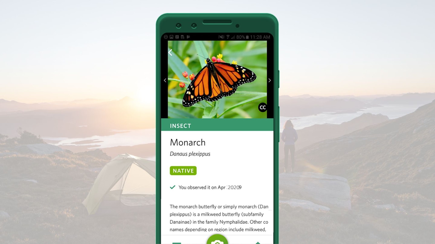 Seek by iNaturalist