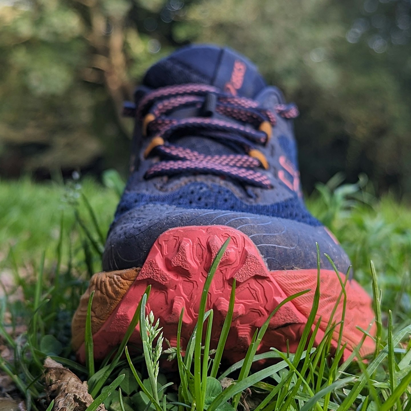 Toebox on the Asics Trabuco Max 2 best road to trail running shoe for LFTO
