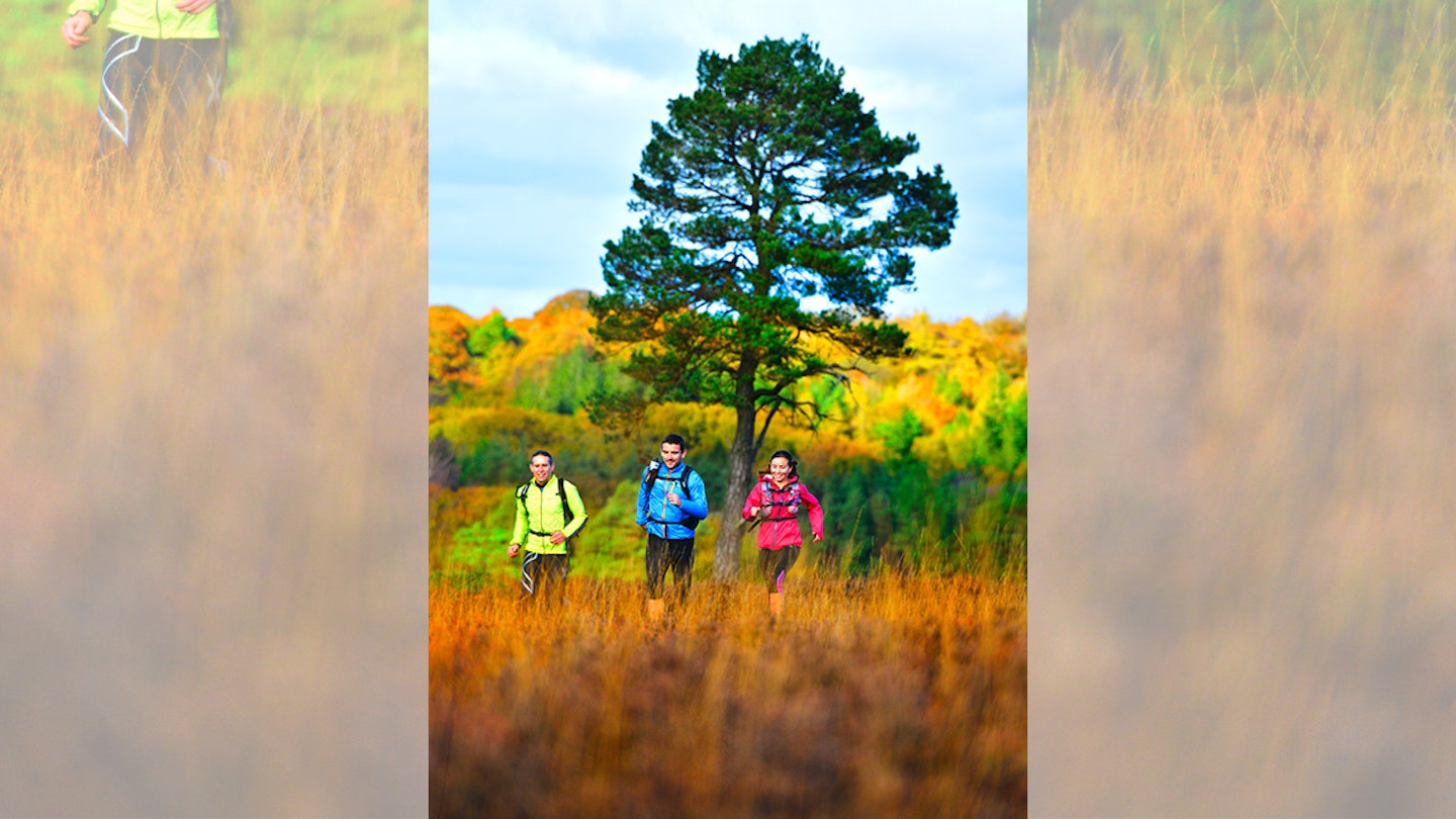 runners on trail in new forest