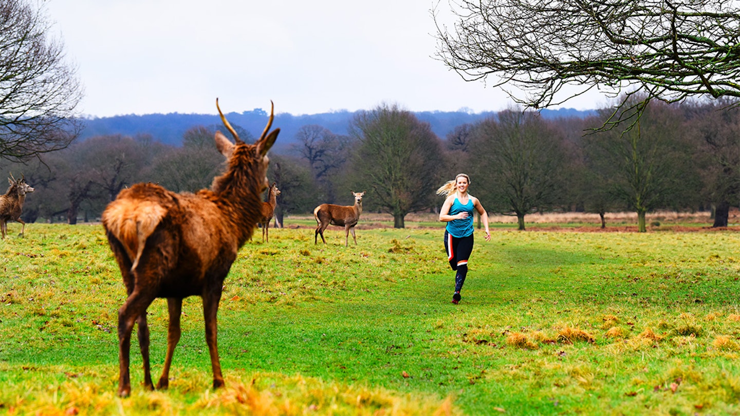 runner in richmond park