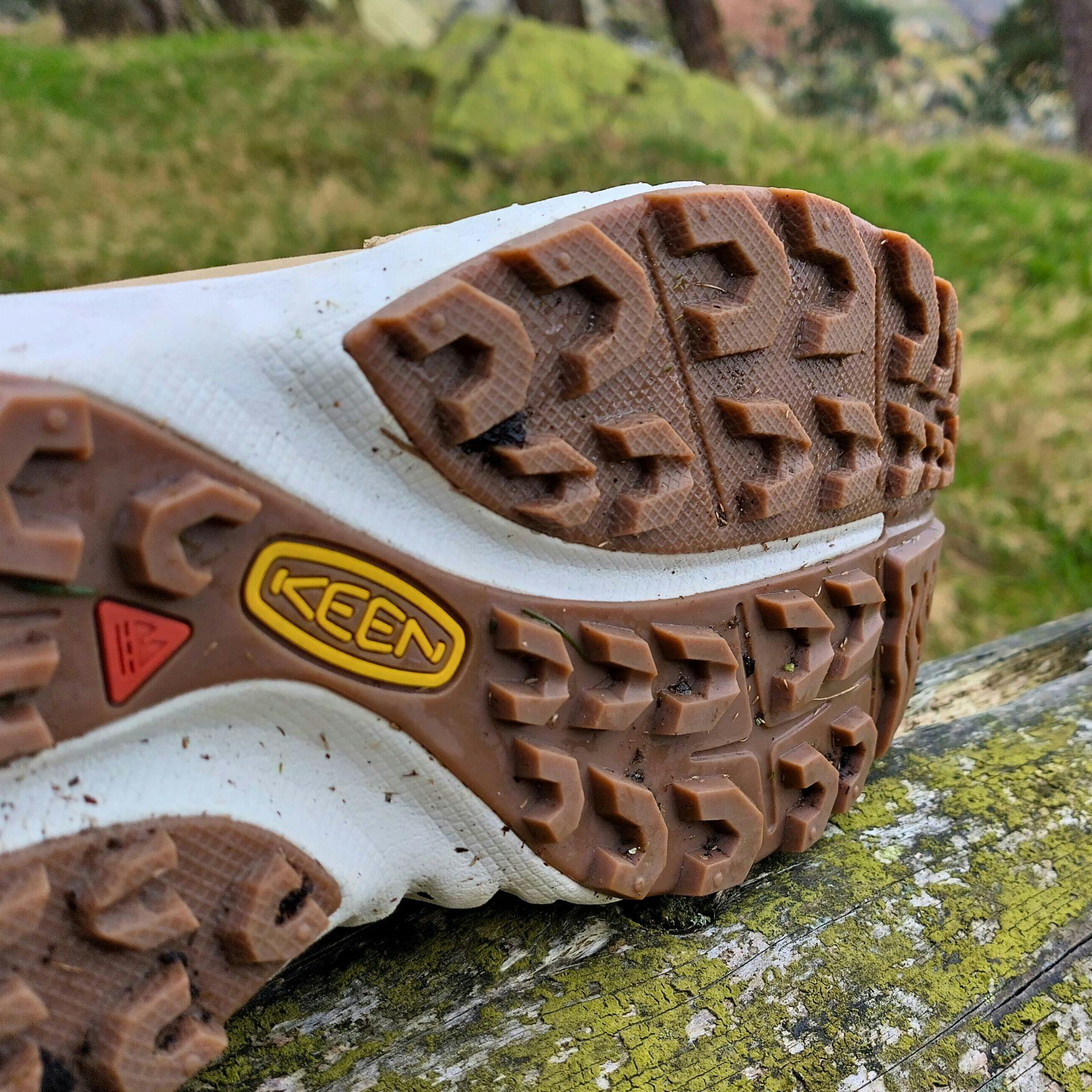 Leather hiking shoes best sale