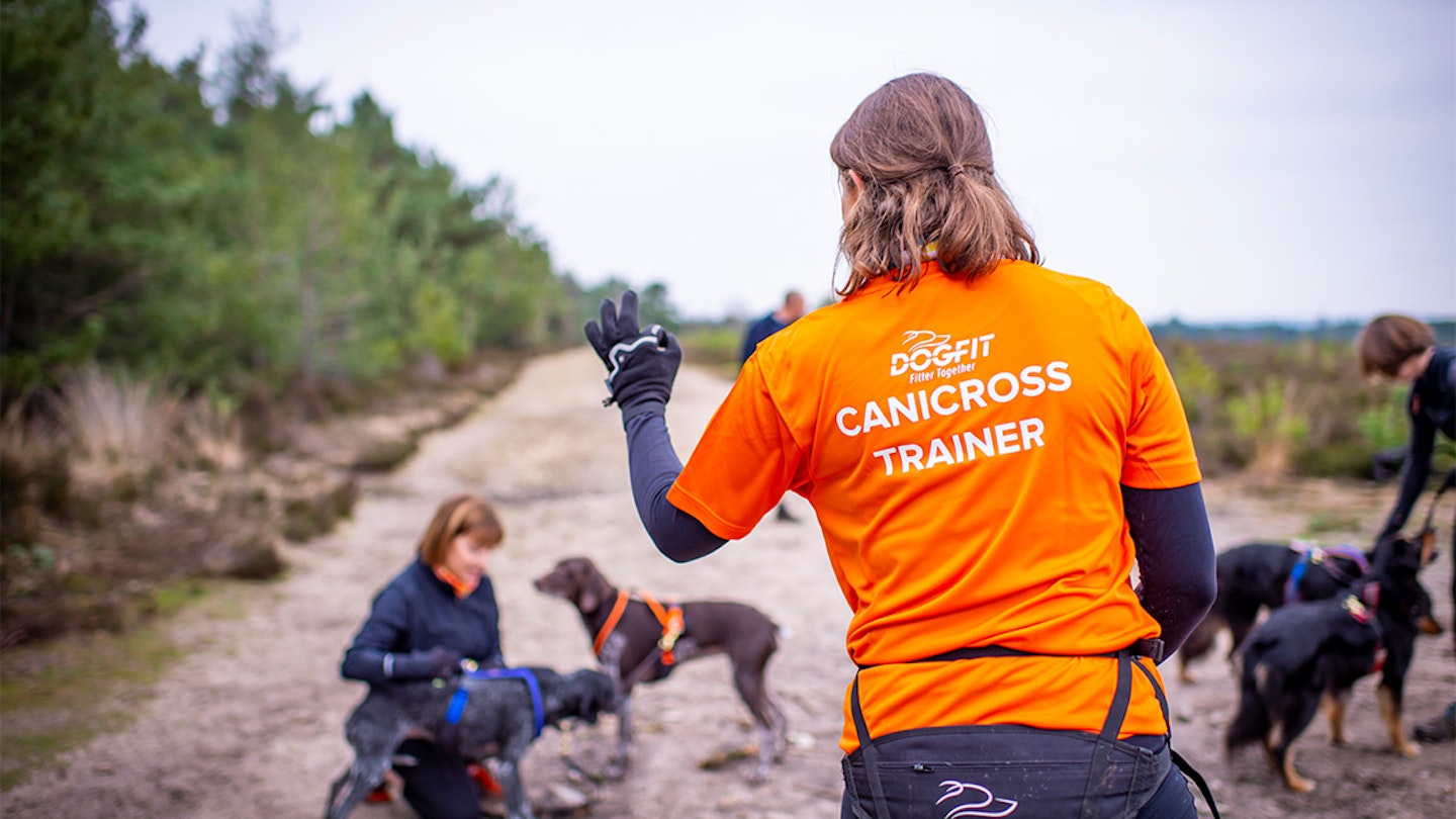 canicross trainers and dog