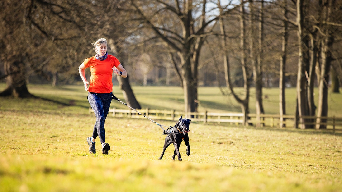 louise humphrey runs with pickle