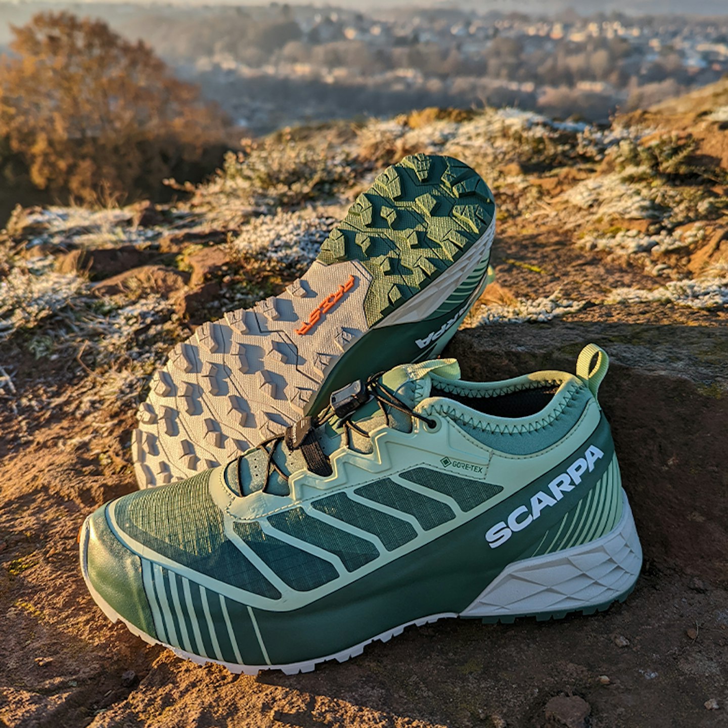 scarpa ribelle run gtx