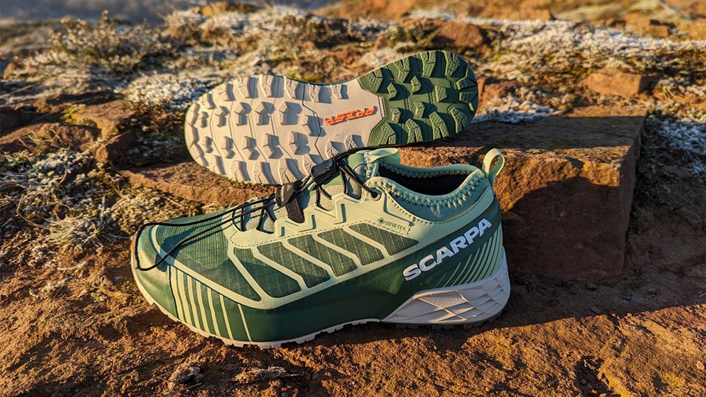 Allbirds just released a cushioned trail shoe for all terrains
