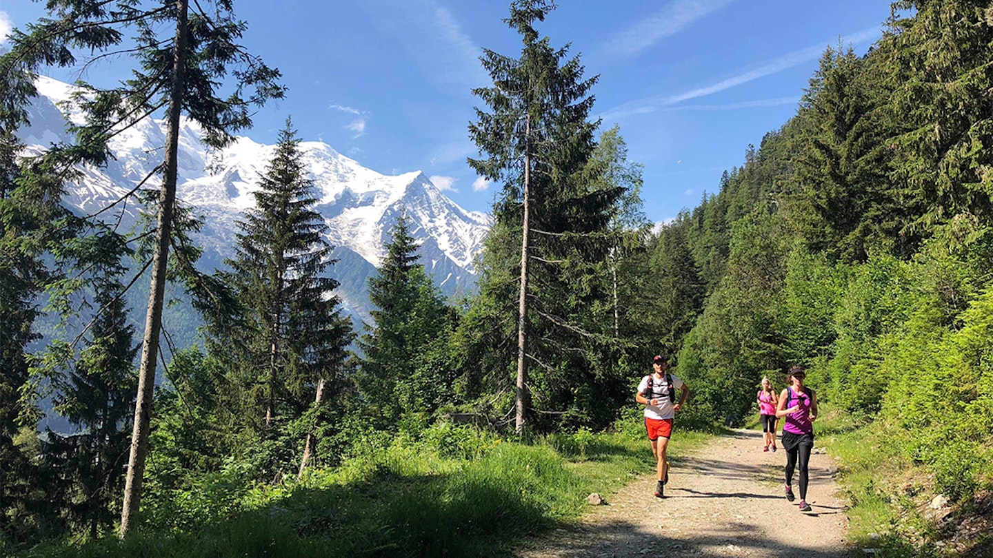 runners in the alps on a trail