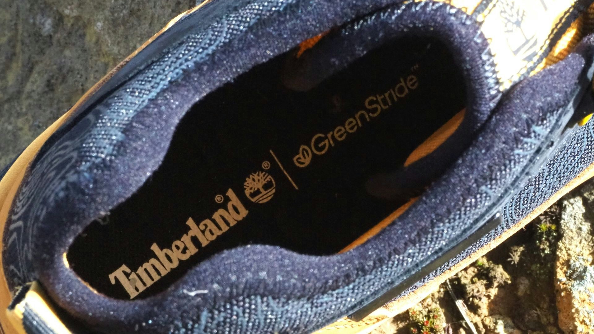 Timberland Motion 6 insole
