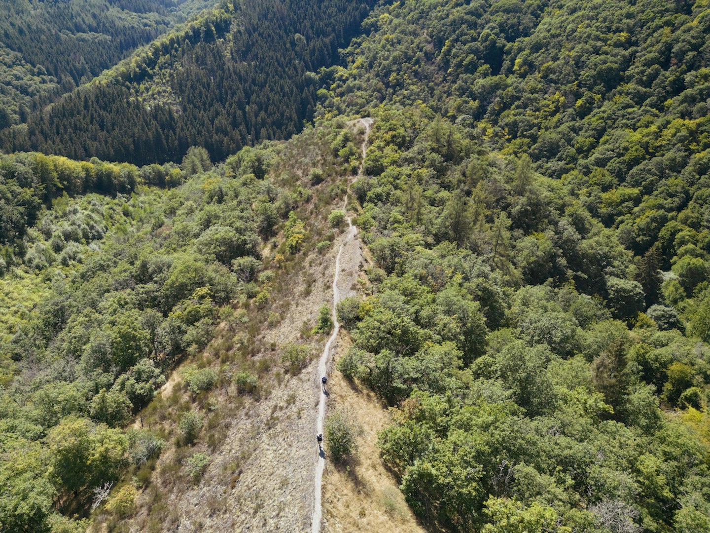 Luxembourg hiking