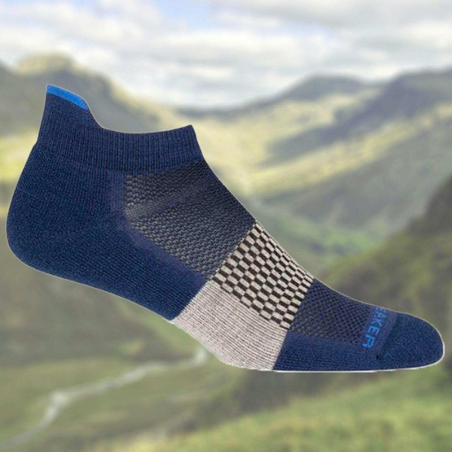 Icebreaker Merino Multisport Light Micro Sock best walking socks