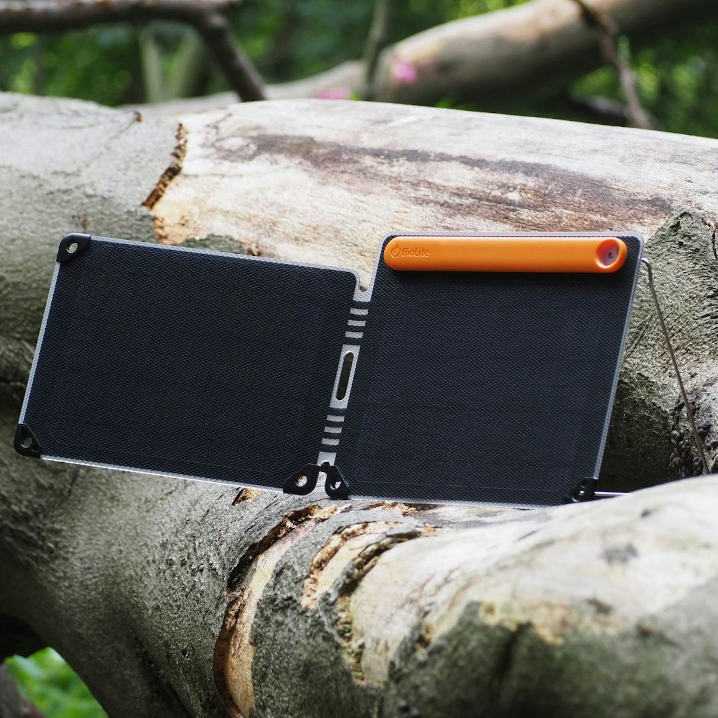 BioLite SolarPanel 10+ sitting on a log