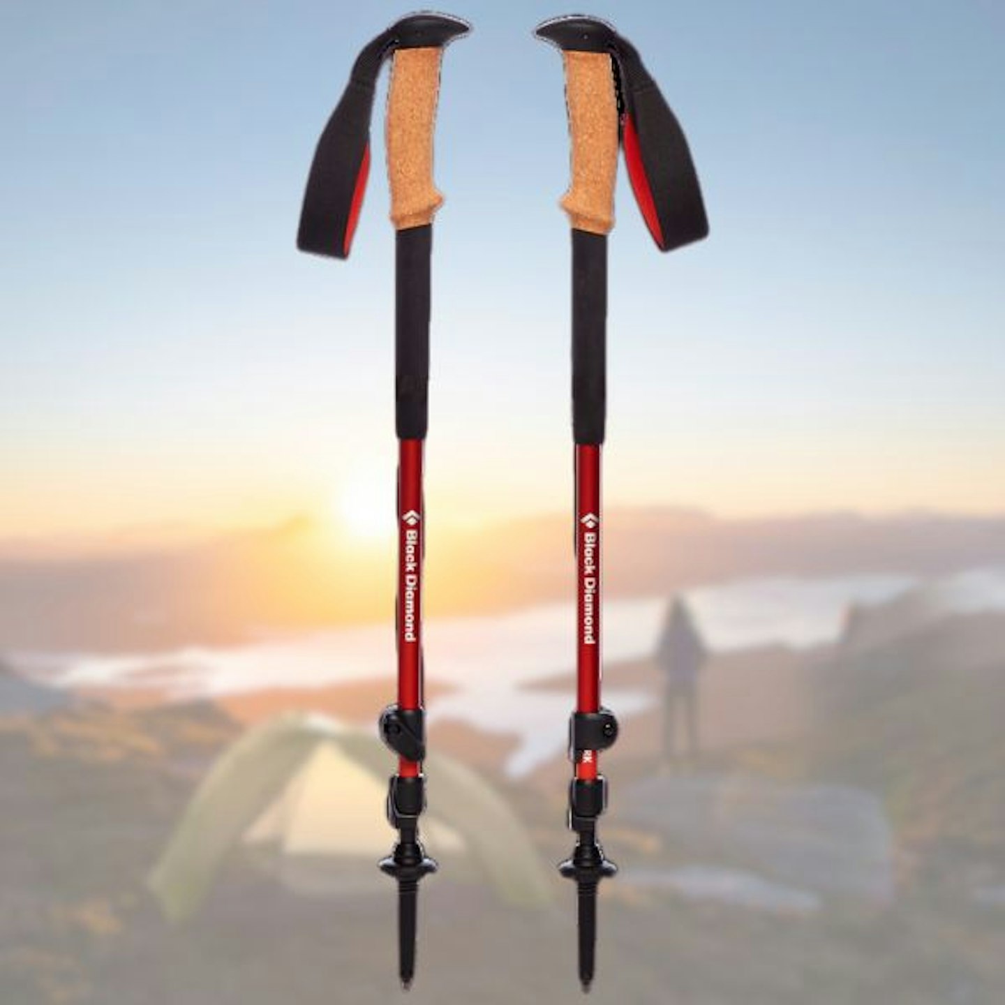 Black Diamond Trail Cork Trekking Poles